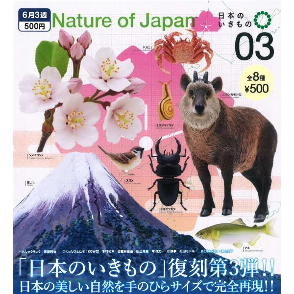 いきもの、動物に関する本　２３冊セット 親子で観察する 身近な生きもの図鑑 | 観音崎自然博物館 |本 | 通販