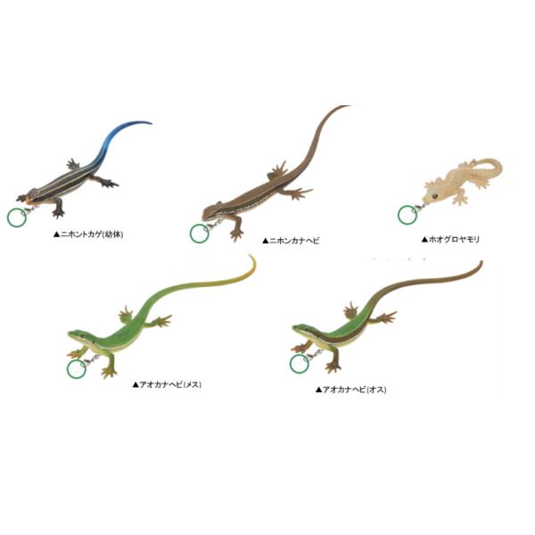 ネイチャーテクニカラーMONO PLUS トカゲとヤモリ めじるしマスコット