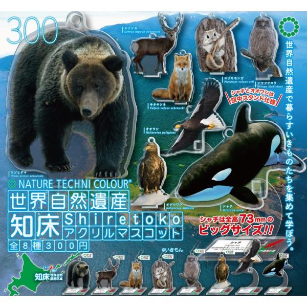 【送料込】ネイチャーテクニカラー 世界自然遺産 知床 アクリルマスコット 全8種セット  ガチャ　
