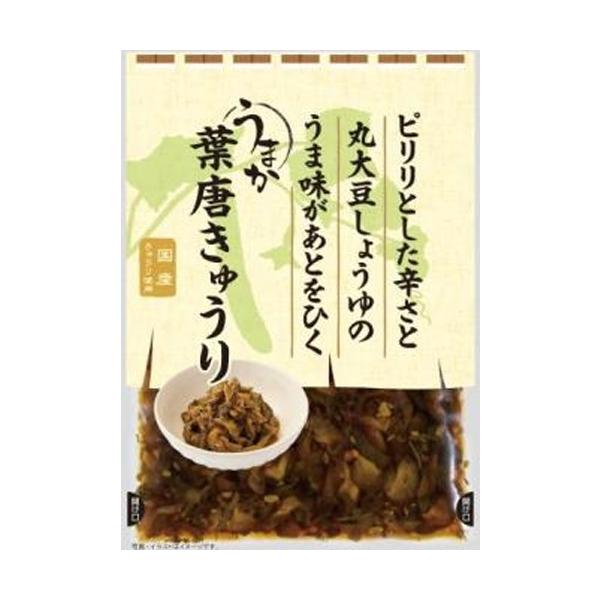 新進 うまか葉唐きゅうり  10袋