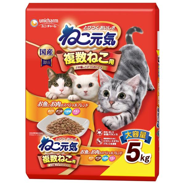 ikoapetfood_4520699687062-3 ikoapetfood_4520699687062-3