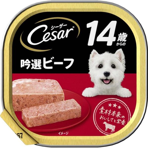 MARS マースジャパン シーザー トレイ 14歳から 吟撰ビーフ 100g CE72N