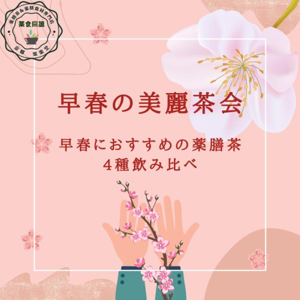 早春の美麗茶会 薬膳茶4種飲み比べセット 8包入り お試しセット 薬膳茶 漢方茶 八宝茶 1800円ポッキリ ティーバッグ 税込 送料無料