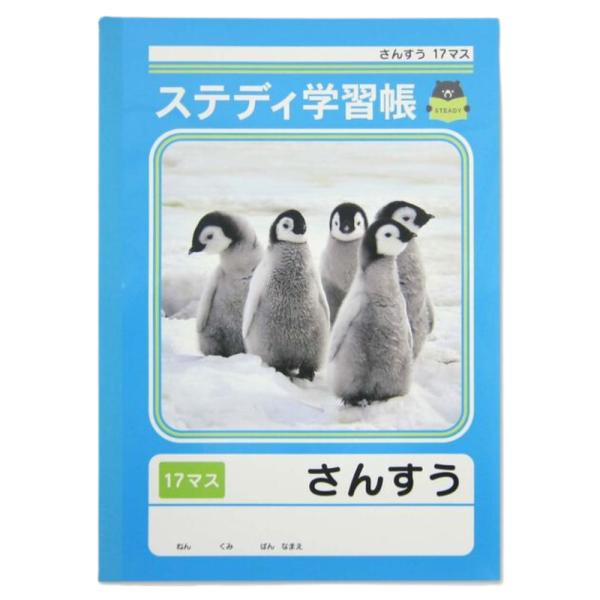 ノート 算数 ステディ学習帳 さんすう 17マス 協和紙工