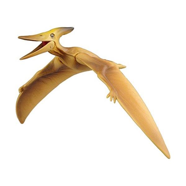 タカラトミー（TAKARA TOMY） おもちゃ フィギュア アニア 恐竜