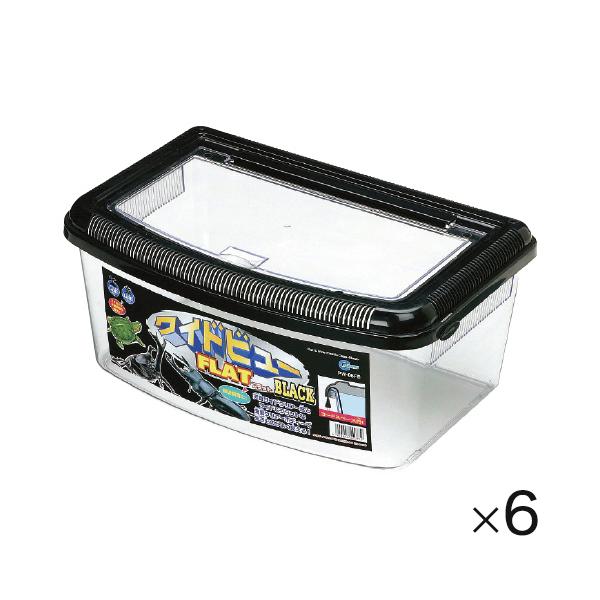 上からの観察にも適した大きな天窓