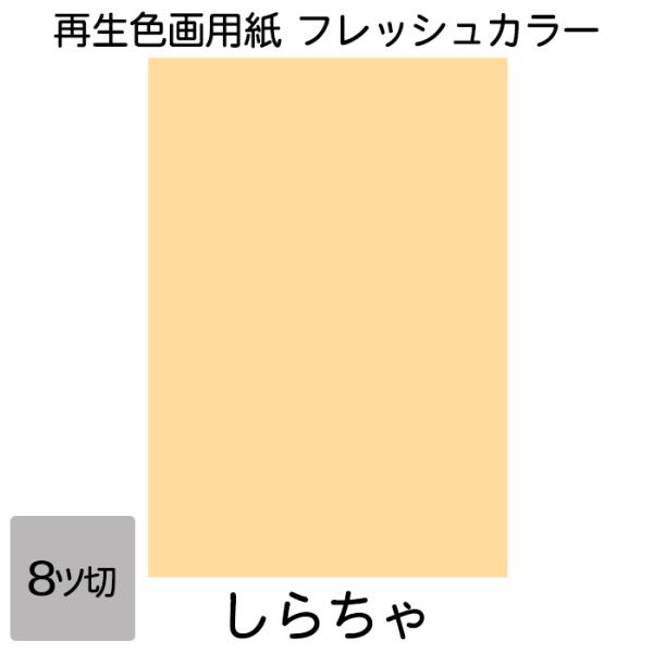 画用紙 色画用紙 フレッシュカラー 八ツ切 100枚 しらちゃ 単色 まとめ買い 八つ切り 大王製紙