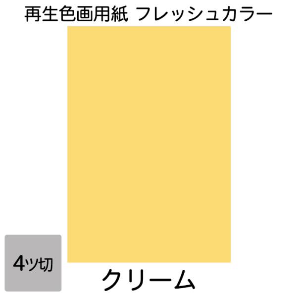 画用紙 色画用紙 フレッシュカラー 四ツ切 10枚 大王製紙 四つ切り クリーム