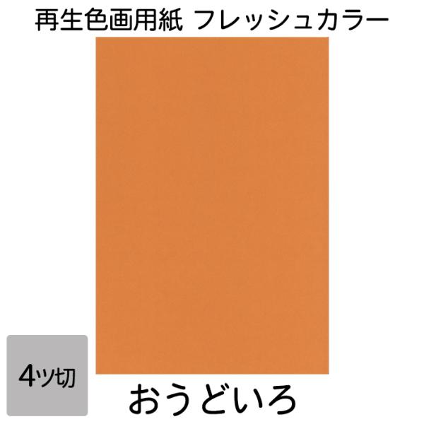 画用紙 色画用紙 フレッシュカラー 四ツ切 10枚 大王製紙 四つ切り おうどいろ