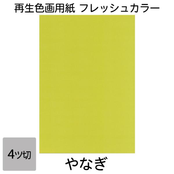 画用紙 色画用紙 フレッシュカラー 四ツ切 10枚 大王製紙 四つ切り やなぎ