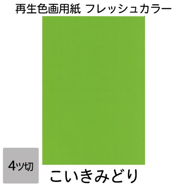 再生紙でありながら鮮やかな色彩を実現。コシもあり図画工作に適しています。●サイズ／4ツ切判：392×543mm●坪量／ 122.1g/平方メートル●四六判換算／ 105kg ●紙厚／約0.185mm