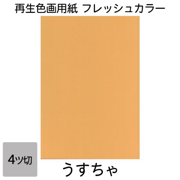 画用紙 色画用紙 フレッシュカラー 四ツ切 10枚 大王製紙 四つ切り うすちゃ