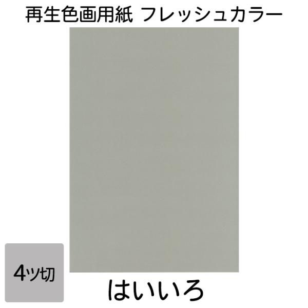 画用紙 色画用紙 フレッシュカラー 四ツ切 10枚 大王製紙 四つ切り はいいろ