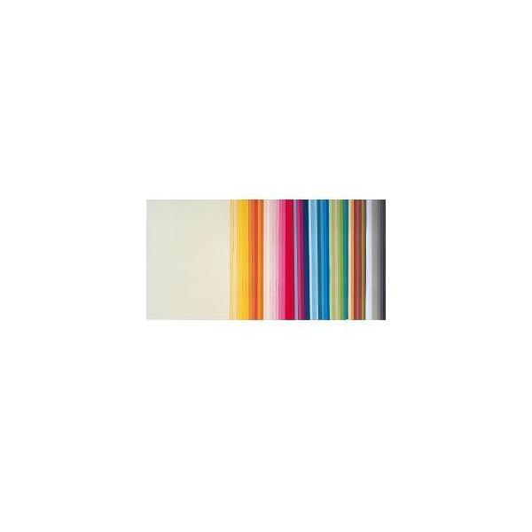 色画用紙フレッシュカラー A4 （10枚） オレンジ 大王製紙（メール便対象商品）（メール便1通につき10点まで）
