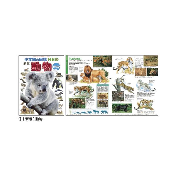 ●サイズ／A4判変型●ページ／160 〜 208●付属品／（1）〜（8）（10）〜（20）DVD付