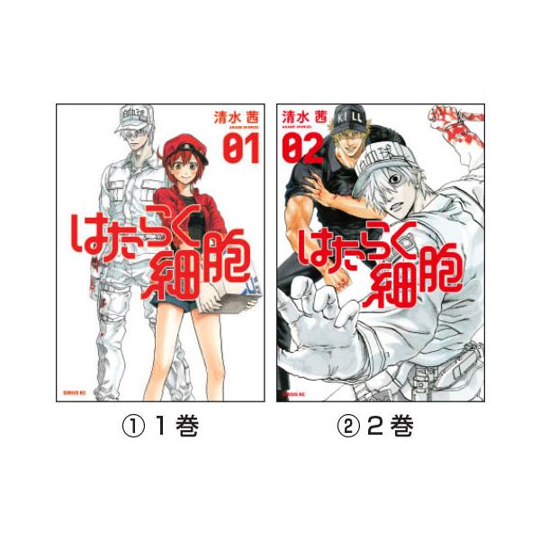 マンガ はたらく細胞 （1）1巻 講談社 : いくるんYahoo!ショッピング店