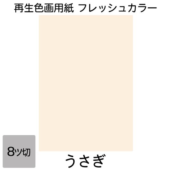 画用紙 色画用紙 フレッシュカラー 八ツ切 10枚 大王製紙 八つ切り うさぎ