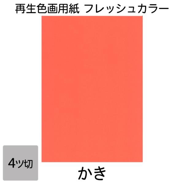 画用紙 色画用紙 フレッシュカラー 四ツ切 10枚 大王製紙 四つ切り かき