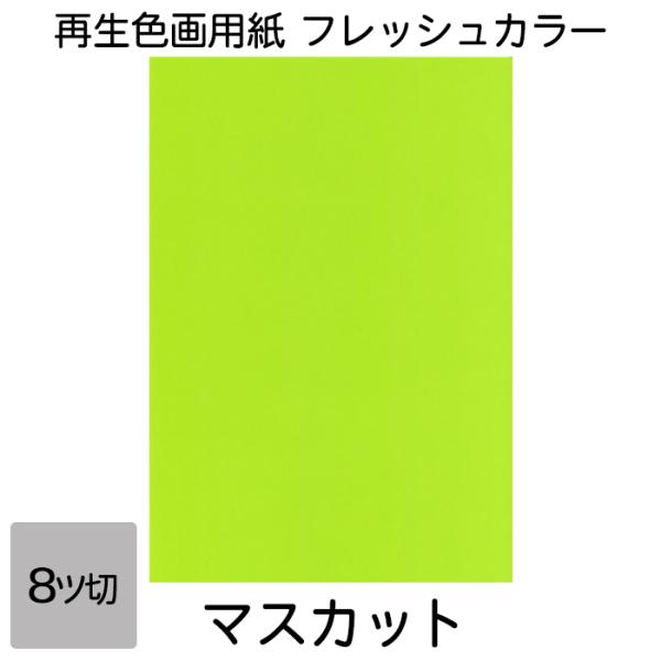 画用紙 色画用紙 フレッシュカラー 八ツ切 10枚 大王製紙 八つ切り マスカット