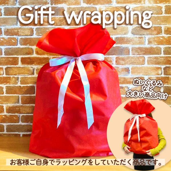 ラッピング ギフト袋 不織布巾着袋 Fシャンテ60-85赤 レッド セルフ