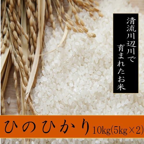 令和7年産 ヒノヒカリ 10kg - お米 熊本県産 精白米 : 生田米店 ヤフー