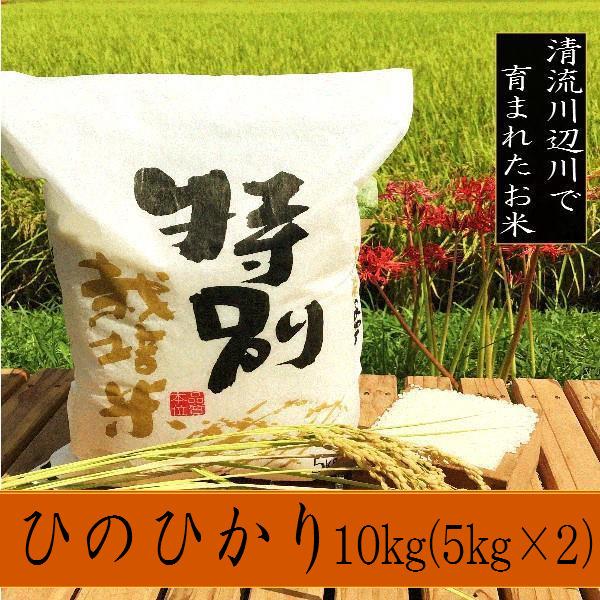 令和6年産新米ヒノヒカリ 10kg -お米 熊本県産 特別栽培米 精 令和6年産新米ヒノヒカリ 10kg -お米 熊本県産 特別栽培米 精