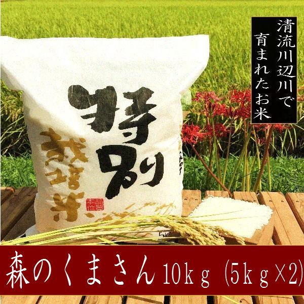 令和6年産新米 森のくまさん 10kg - お米 熊本県産 特別栽培米 令和6年産新米 森のくまさん 10kg - お米 熊本県産 特別栽培米
