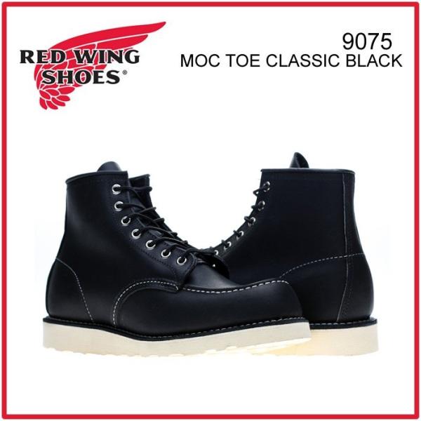 ilharotch_redwing-9075 ilharotch_redwing-9075