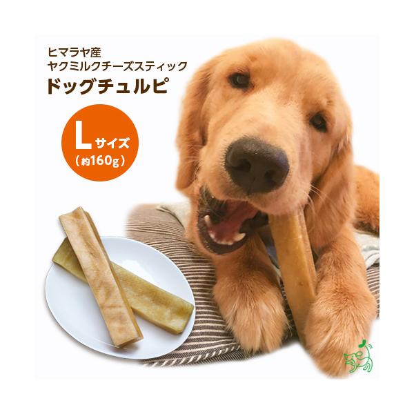 まとめ買い 犬 おやつ 無添加 ヒマラヤ産 ヤクミルクチーズスティック ドッグチュルピ Lサイズ 約160g 10個セット イリオスマイル ポイント消化 Di0032 10set 犬用自然派おやつ専門店iliosmile 通販 Yahoo ショッピング
