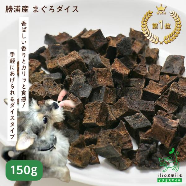 犬 おやつ 無添加 国産 勝浦産まぐろダイス 150g/低脂肪 魚 フィッシュ ペット アレルギー マグロ ダイエット 子犬 シニア ギフト 超PayPay祭 ｜ イリオスマイル