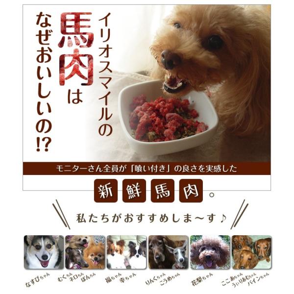 ドッグフード 馬肉 犬 国産 生肉 熊本直送 新鮮 生馬肉 パラパラミンチ 300g 3袋 イリオスマイル ポイント消化 Buyee Buyee 提供一站式最全面最专业现地yahoo Japan拍卖代bid代拍代购服务 Bot Online