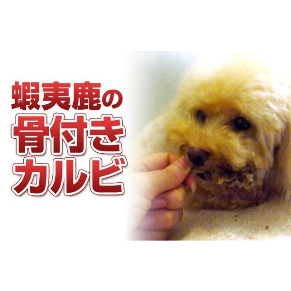 犬 おやつ 骨 無添加 国産 北海道産蝦夷鹿の骨付きカルビ イリオスマイル ポイント消化 Buyee Buyee Japanese Proxy Service Buy From Japan Bot Online