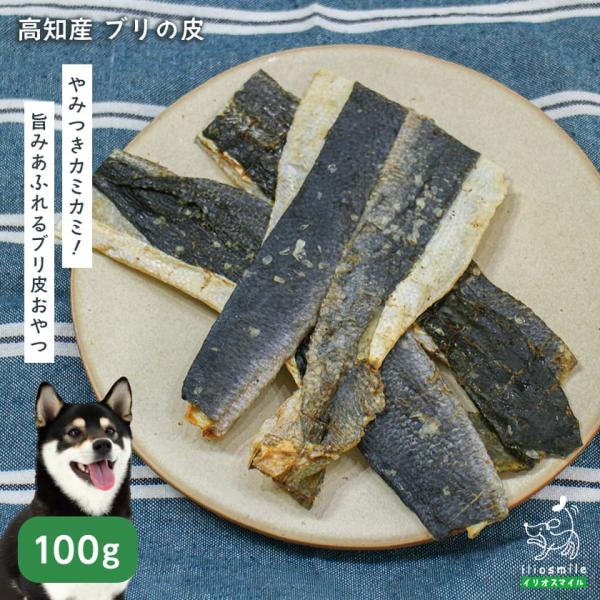 犬 おやつ 無添加 国産 高知産 ブリの皮 100g/低脂肪 魚 犬のおやつ ダイエット デンタルケア 爆買 ｜ イリオスマイル iliosmile