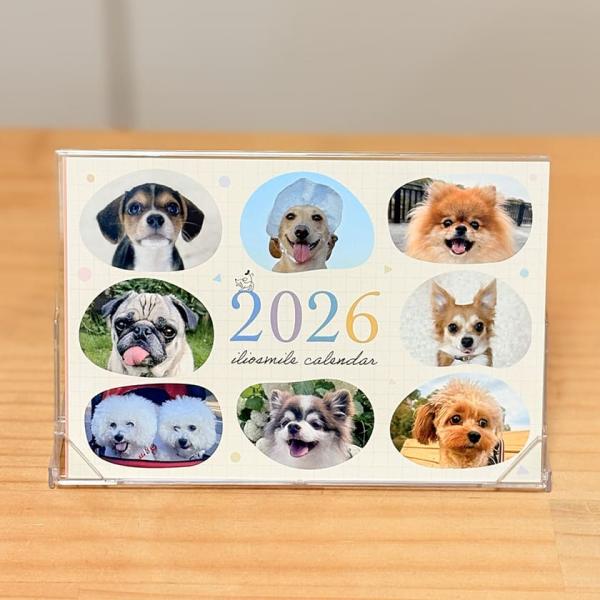 ※ネコポス8個までOK※「イリオスマイル　オリジナルカレンダー2026」公募で選ばれたお客様のパートナーをモデルに、とってもかわいいカレンダーができました！たくさんのワンちゃんに癒されて、素敵な2026年になりますように…♪サイズ：148×...