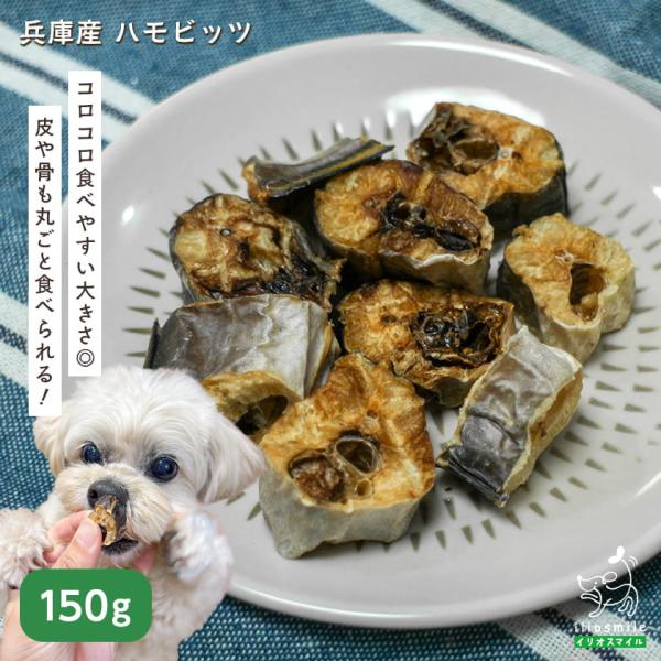 犬 おやつ 無添加 国産 兵庫産 ハモビッツ 50g / 鱧 はも 魚 皮 骨 爆買 ｜ イリオスマイル iliosmile
