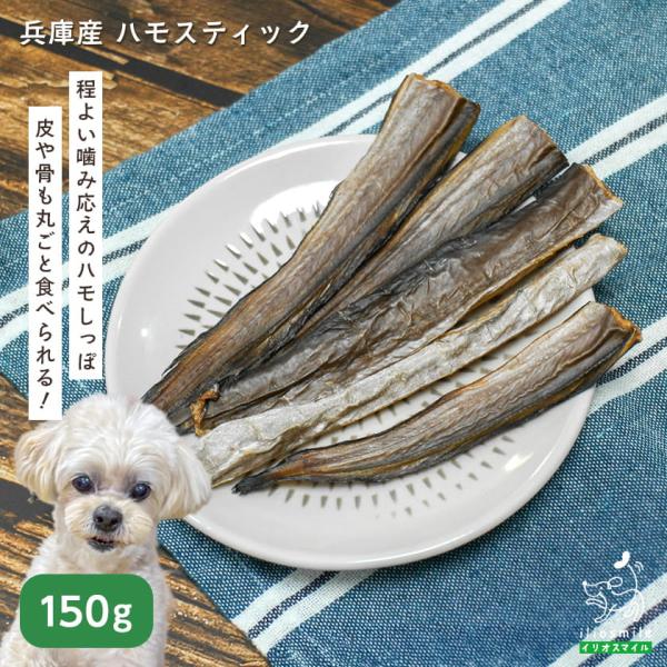 犬 おやつ 無添加 国産 兵庫産 ハモスティック 50g / 鱧 はも 魚 皮 骨 爆買 ｜ イリオスマイル iliosmile