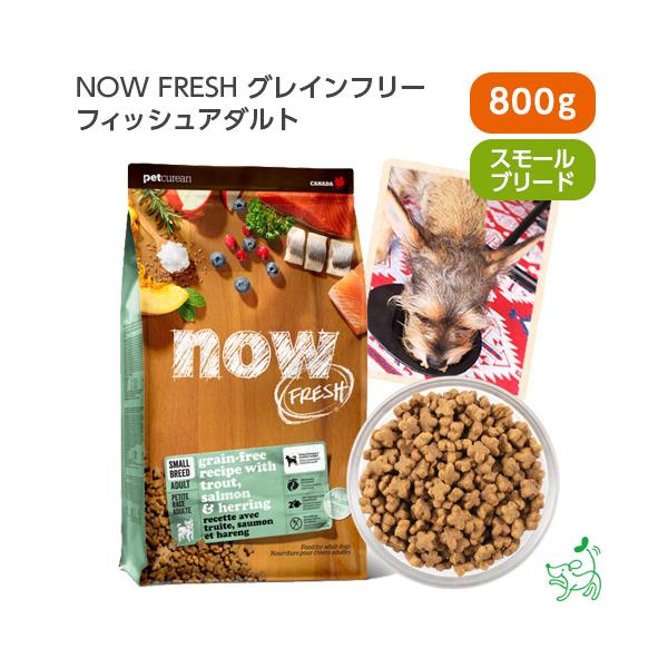 ナウフレッシュ NOW FRESH グレインフリー 小粒 スモールブリード フィッシュアダルト 800g/犬 ごはん フード 魚 超PayPay祭 ｜ イリオスマイル
