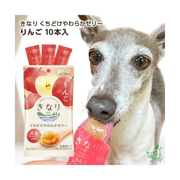 犬 おやつ 無添加 国産 きなり くちどけやわらかゼリー りんご 5g×10本