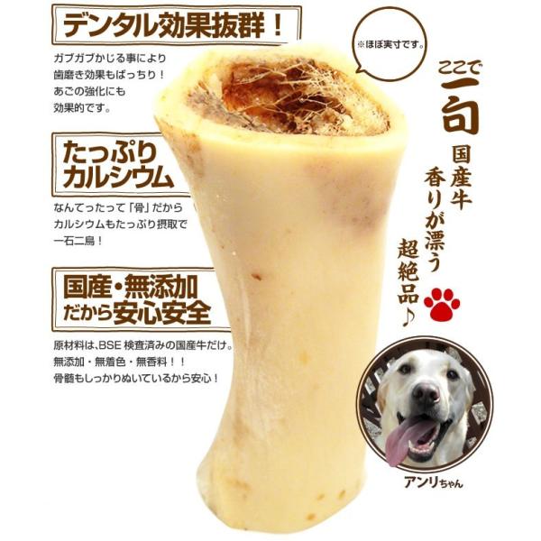 犬 おやつ 骨 無添加 国産 釧路産牛の骨 げんこつなし 牛骨 イリオスマイル ポイント消化 Buyee Buyee Japanese Proxy Service Buy From Japan Bot Online