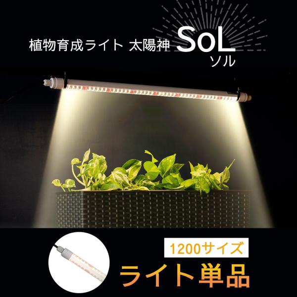 植物育成ライト 太陽神SoLソル ライト単品 1200サイズ