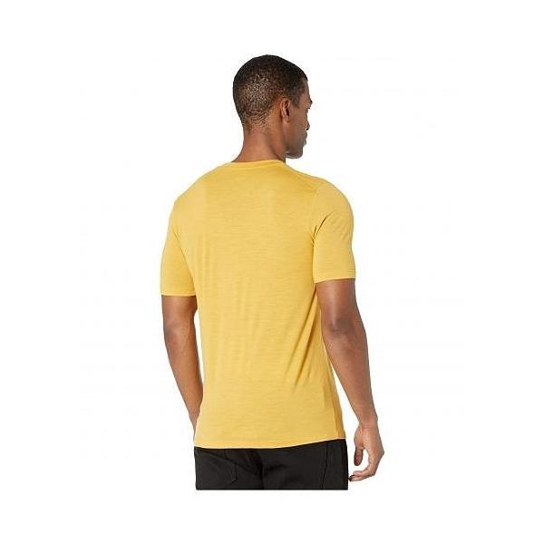 Fjallraven フェールラーベン メンズ 男性用 ファッション Tシャツ Abisko Wool Short Sleeve Ochre Www Unipymes Com