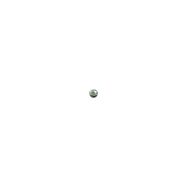 スワロフスキー #5000 ラウンド 4mm (加工) (AB) ブラックダイヤ /10個