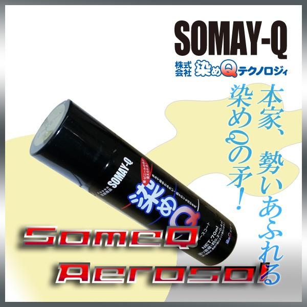 染めQ ベースコート70ml 人気のナノテク カラースプレー : ISI - 通販