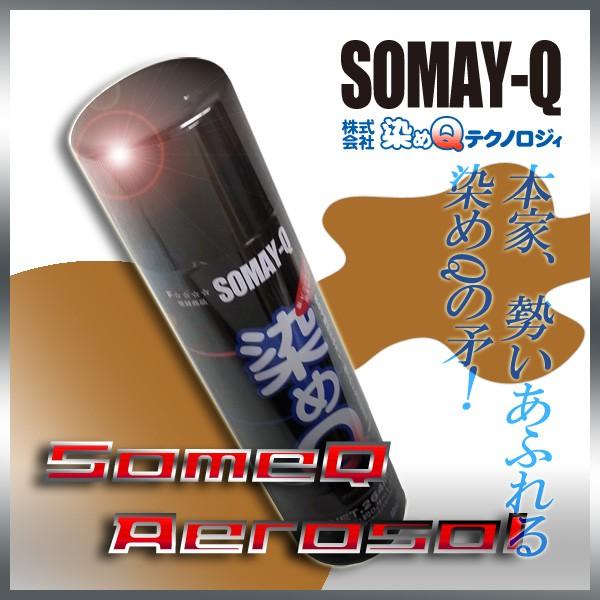 Q LuE264ml lC̃imeN J[Xv[