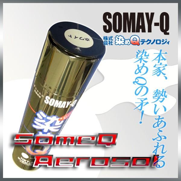 Q zCg264 lC̃imeN J[Xv[