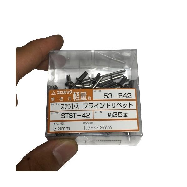 ブラインドリベット ステンレス 約35本 リベット径3.2mm ドリル径3.3mm