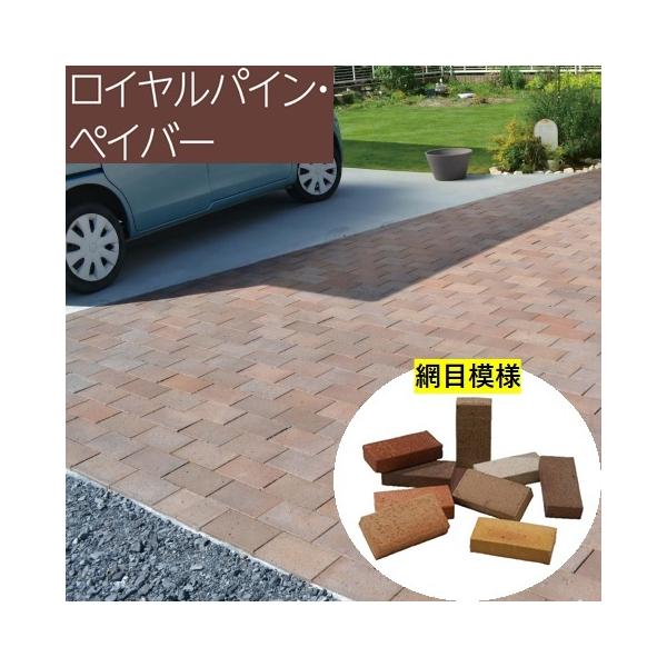 imadoyaonabeta_royal-pine-pever-a