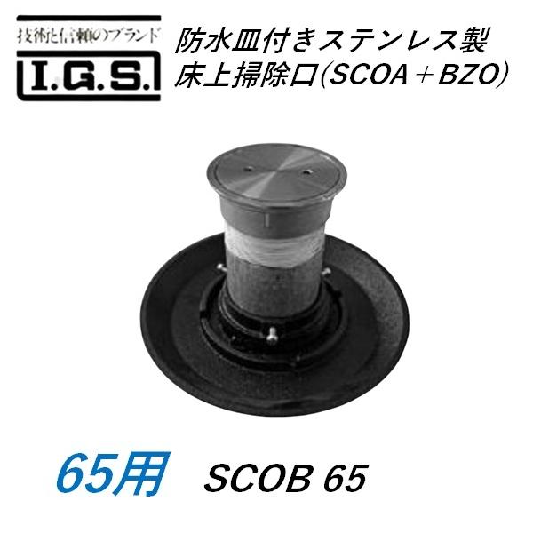 ɓSH hMtXeX| TCY 65 SCOB(SCOA{BZO) IGS