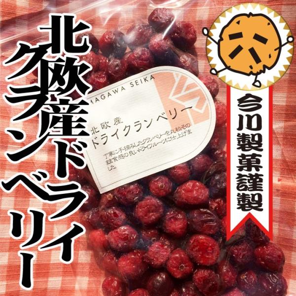 imagawa-seika_t0006
