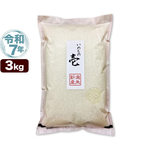 令和7年産 新潟産 いのちの壱 3kg 米 送料無料（北海道、九州、沖縄除く）
